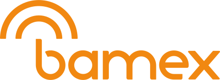 Portal Bamex